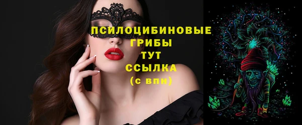 гашик Абдулино