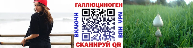 Галлюциногенные грибы Psilocybe  Подпорожье 
