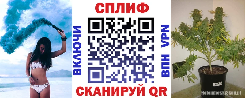 Каннабис Amnesia  Подпорожье 